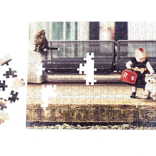 muur shuttle Speel Puzzel laten bedrukken 1000 stukjes | Fotopuzzel | PrintYourGift